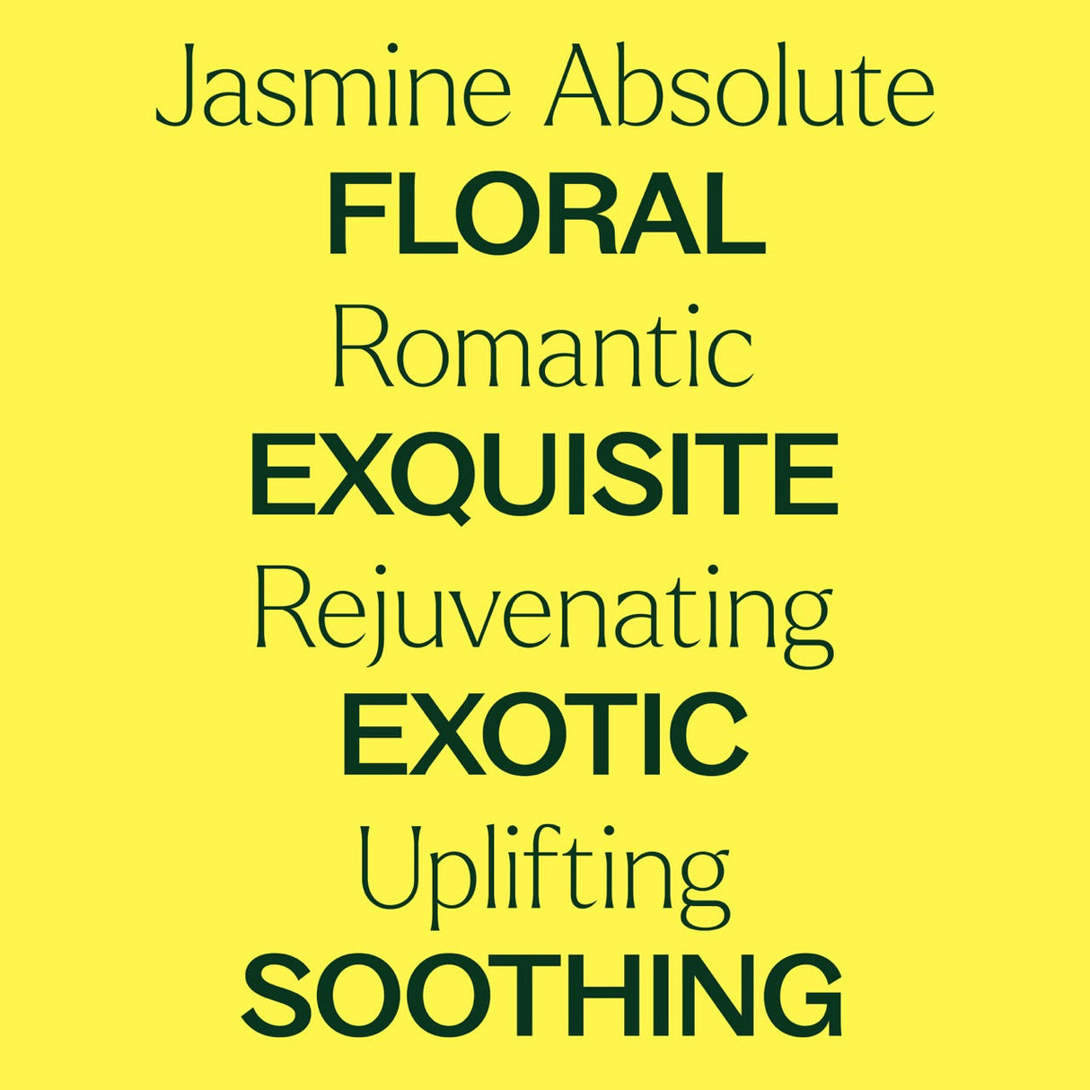Jasmine Sambac Pure Absolute