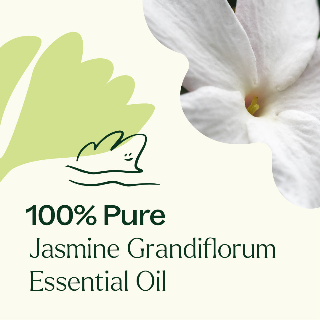 Jasmine Grandiflorum Absolute