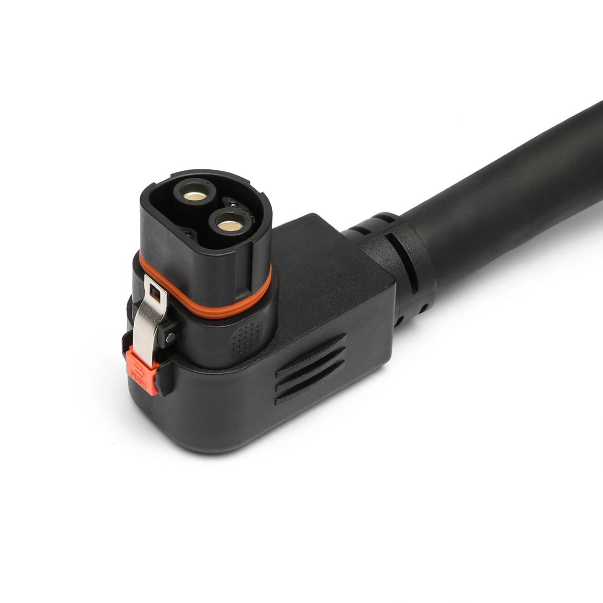 RECERTIFIED - Safari XP Expansion Pack