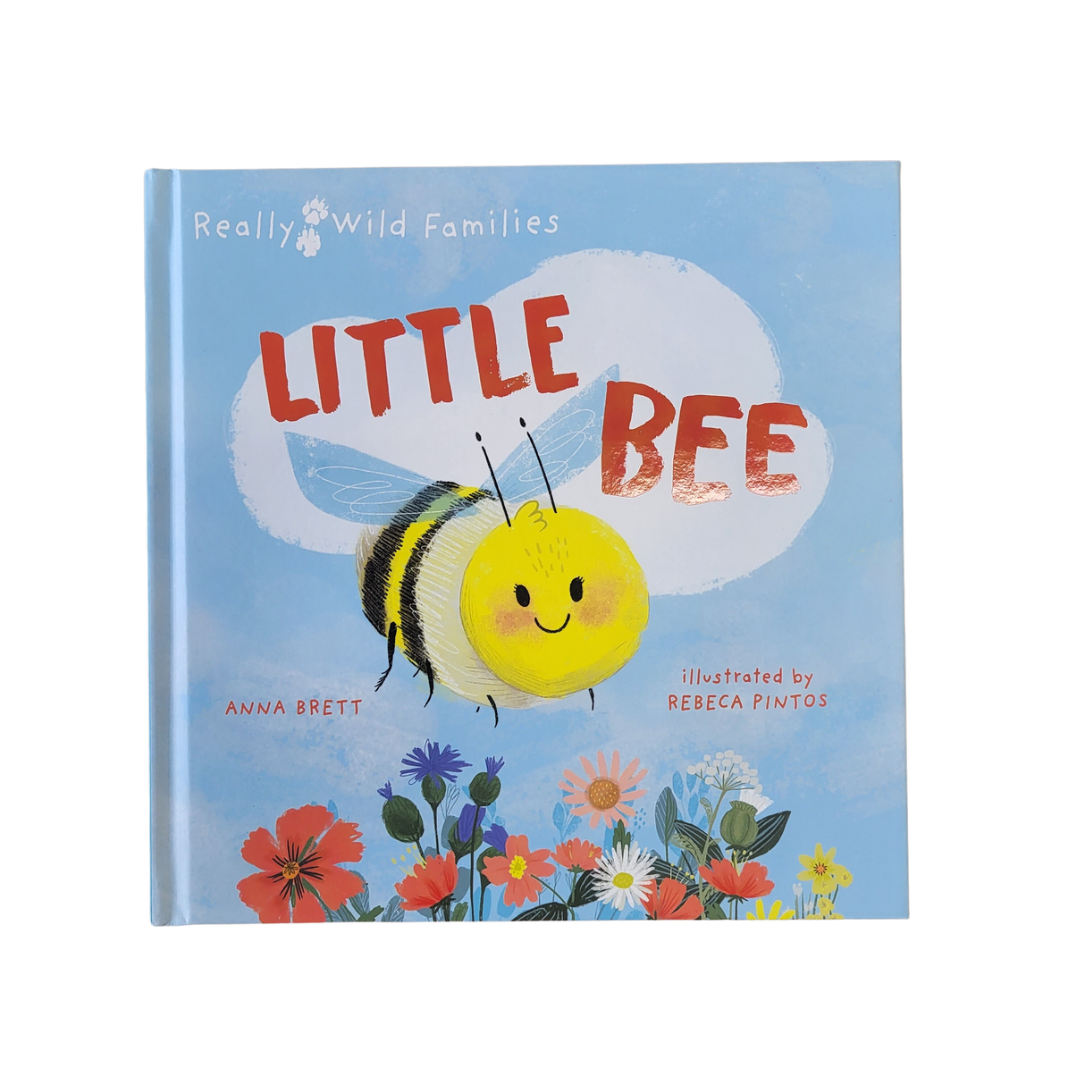 Little Bee Kids Book