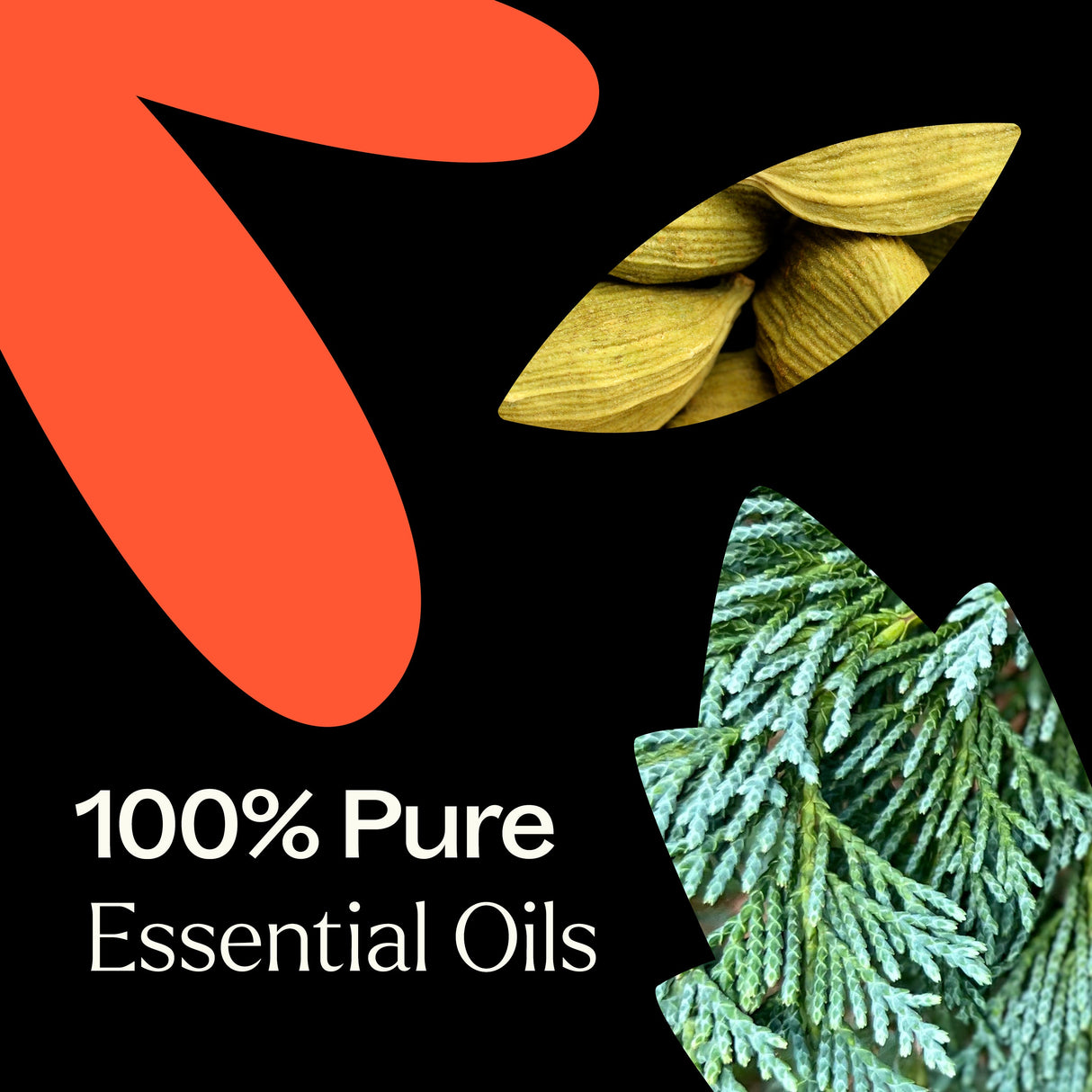 Monster Mash Essential Oil Blend