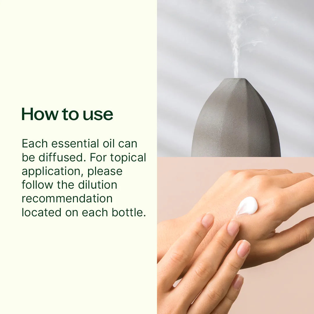 Pumpkins & Porch Swings Essential Oil Blend 3 Set