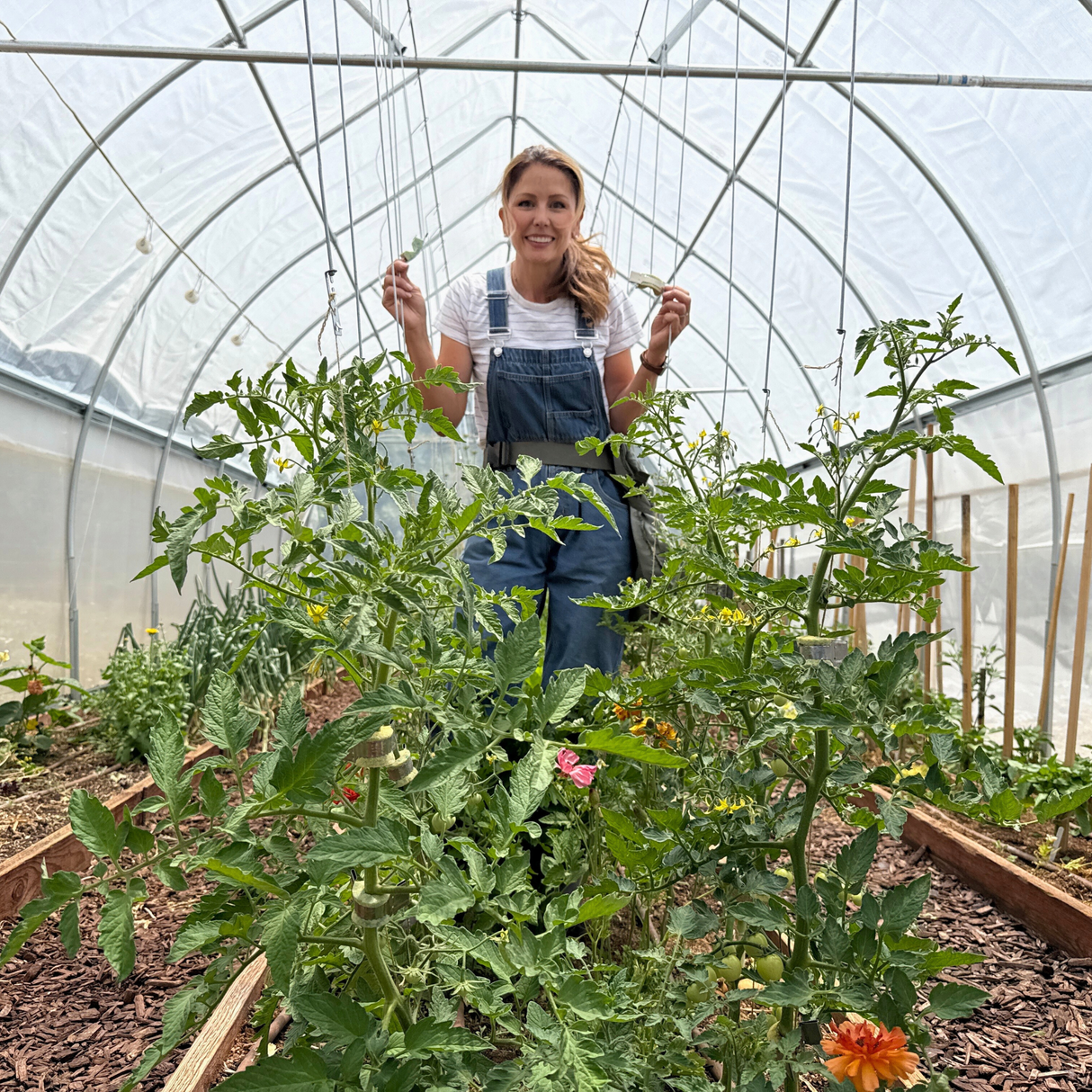 Qlipr Trellising System