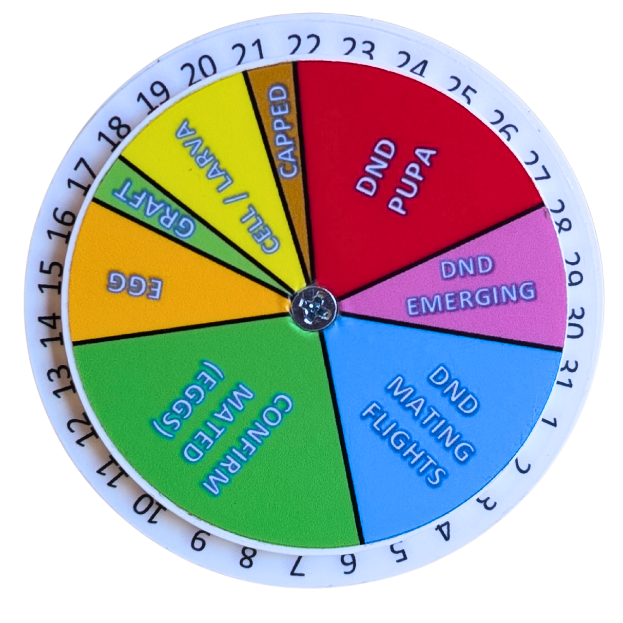 Queen Right Dial - Mating Indicator