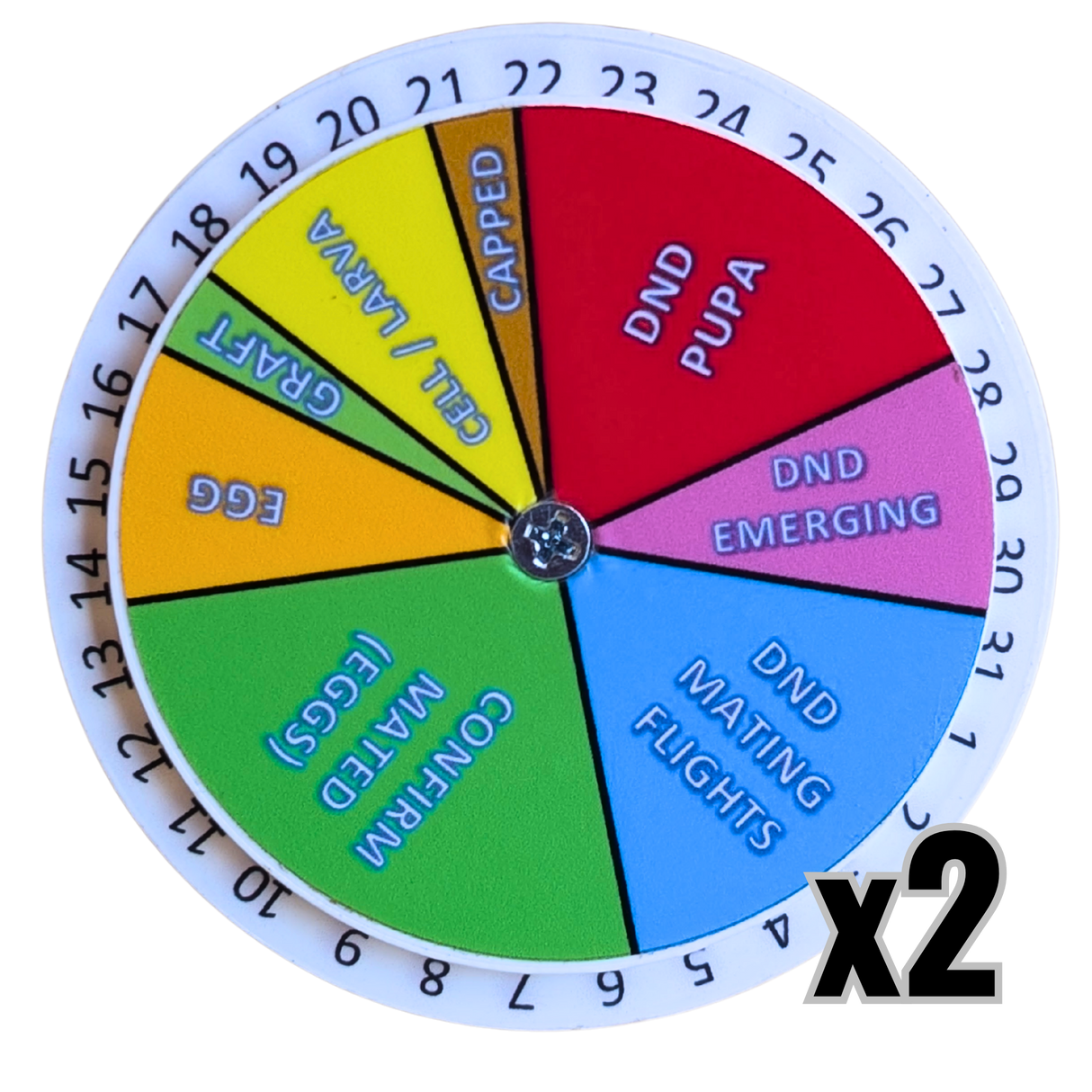 Queen Right Dial - Mating Indicator