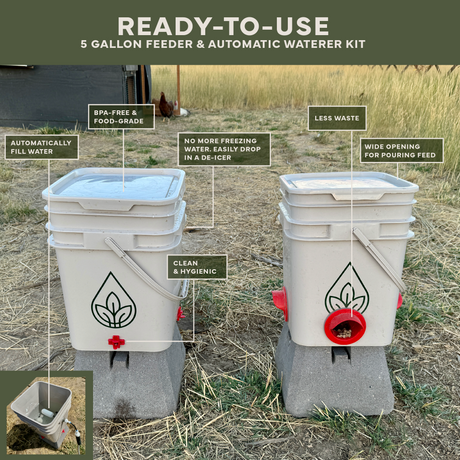 Easy Chicken Feeder and Automatic Chicken Waterer Kits β Chicken Chores Just Got 20X Easier