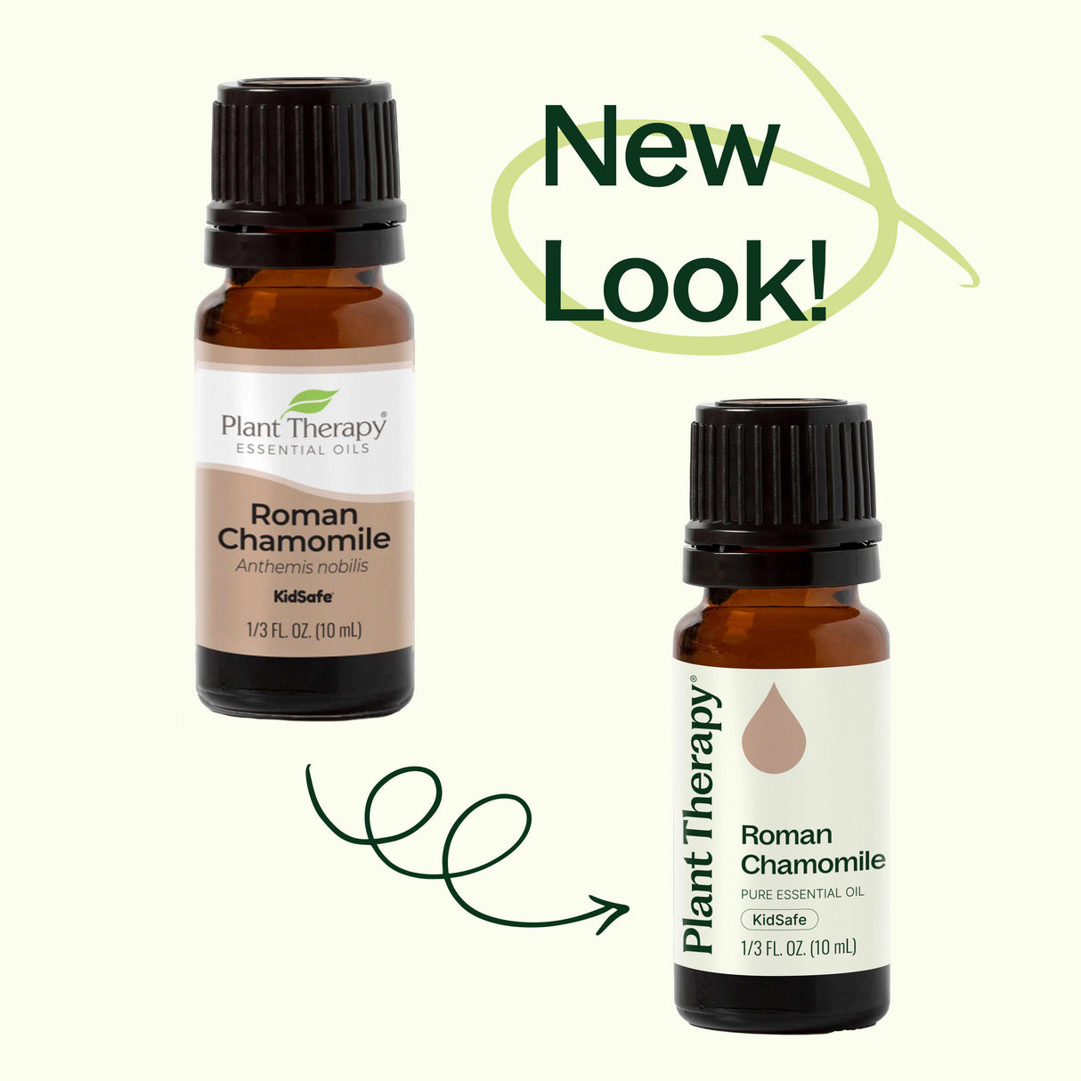 Roman Chamomile Essential Oil
