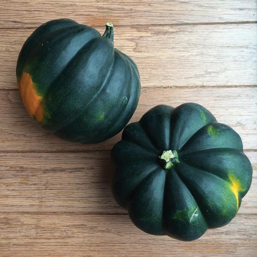 Table King Bush Acorn  Squash