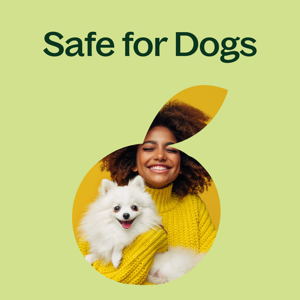 Sweet Fennel Essential Oil