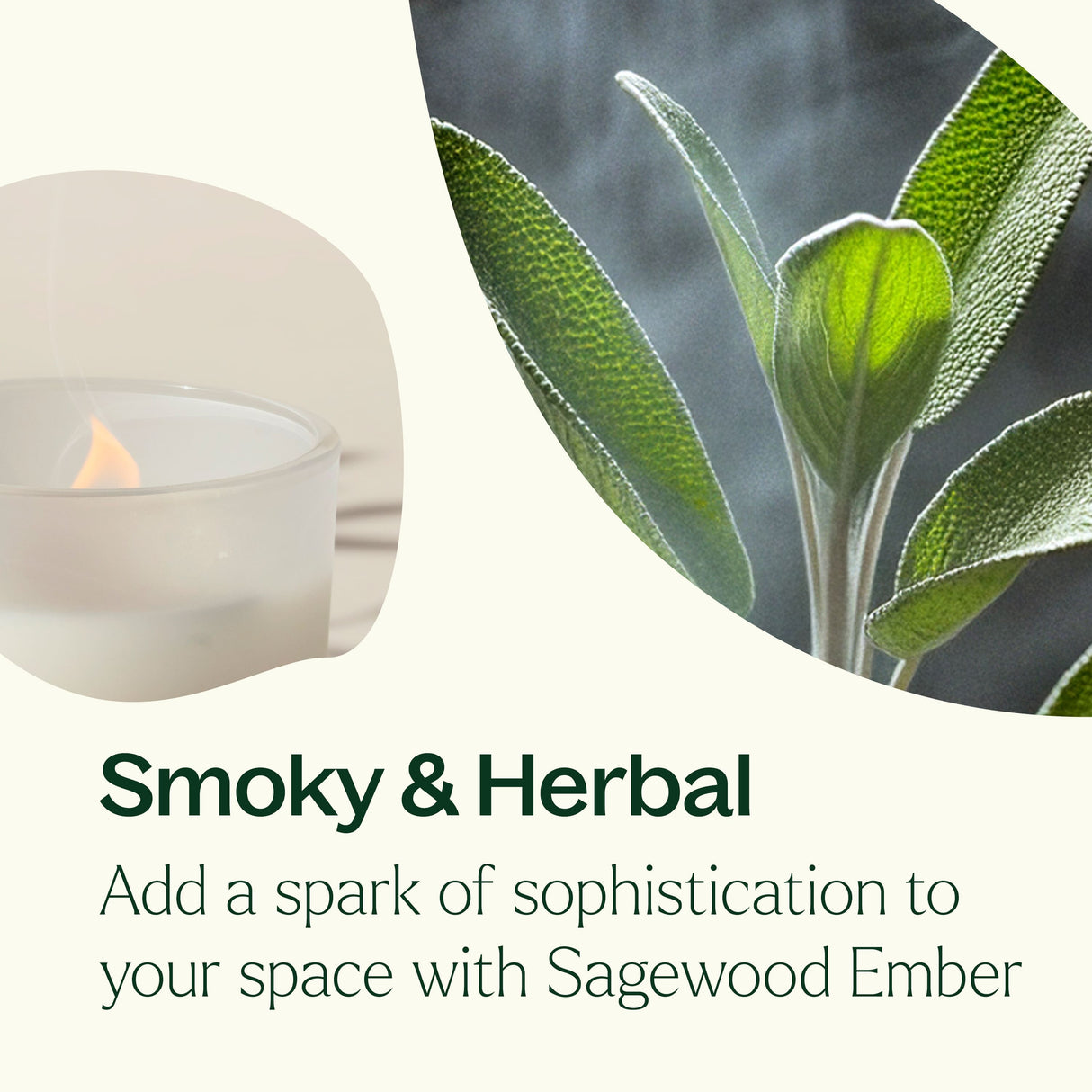 Sagewood Ember Naturally Scented Candle