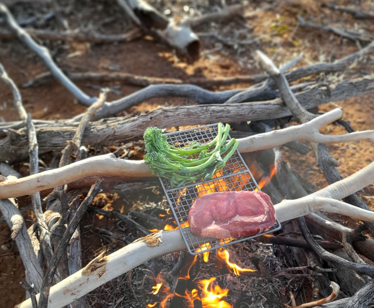 Titanium Grillmate 3000 BBQ By Maratac®