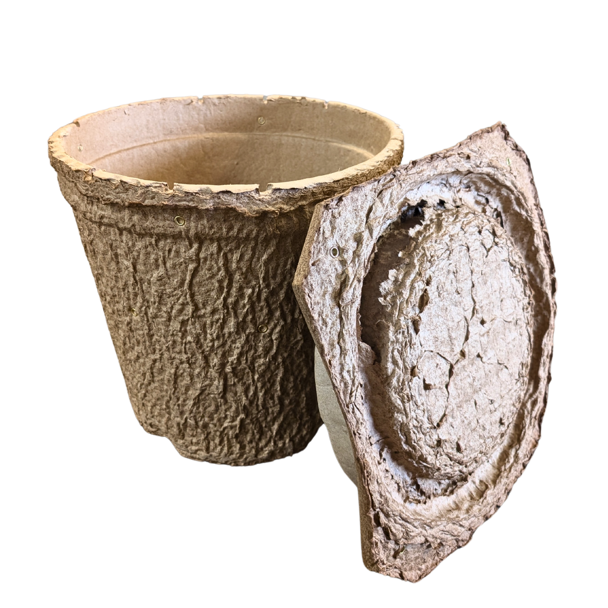 Swarm Trap - Pressed Flower Pot Style