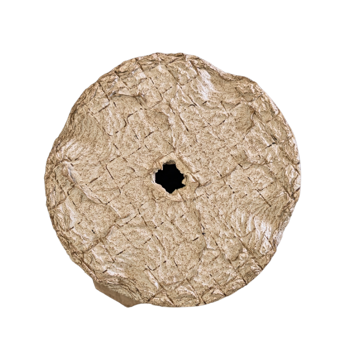 Swarm Trap - Pressed Flower Pot Style