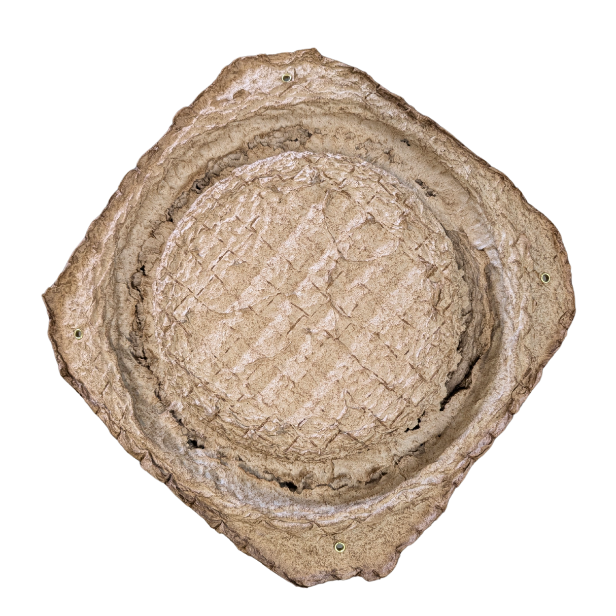 Swarm Trap - Pressed Flower Pot Style