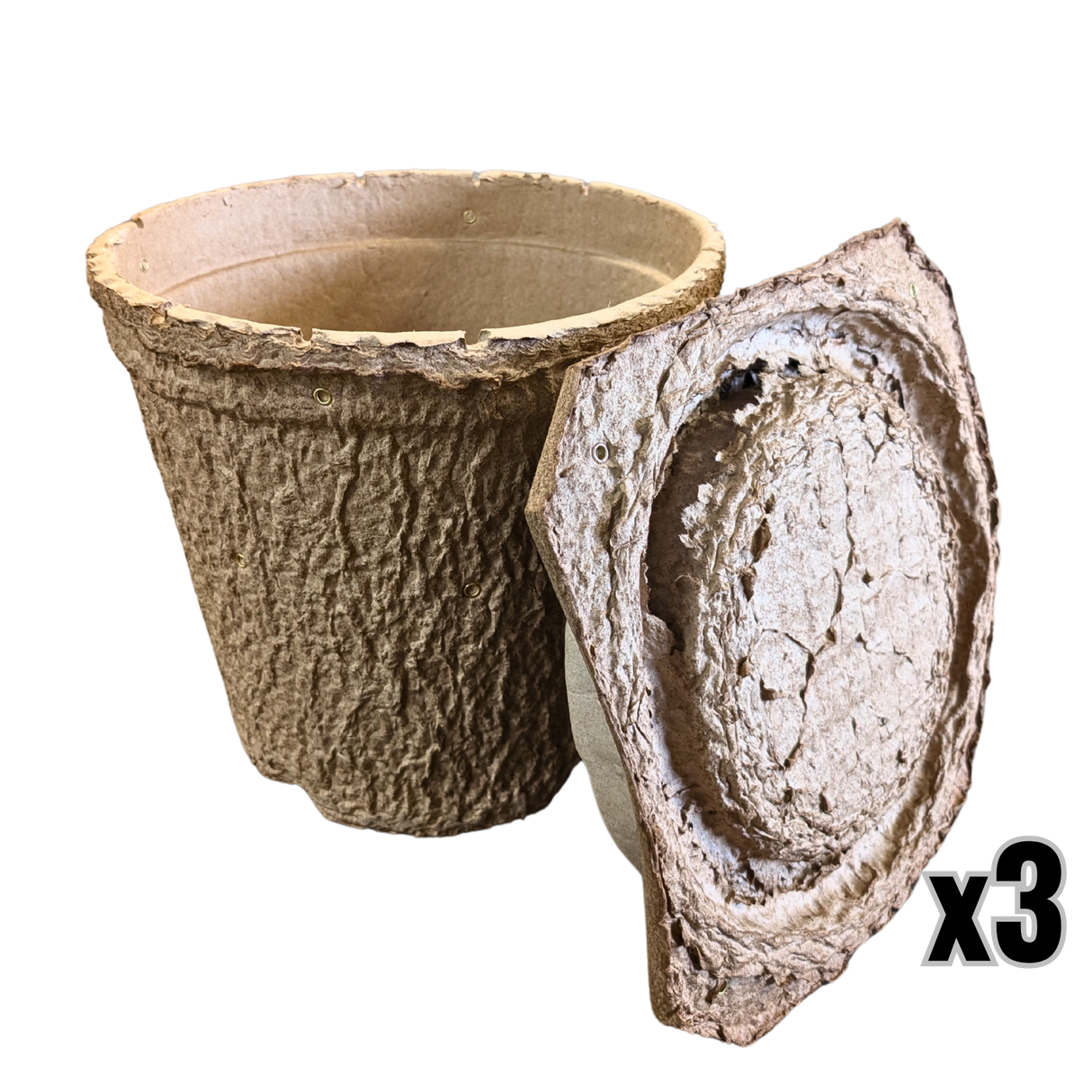 Swarm Trap - Pressed Flower Pot Style