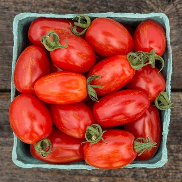 Supernova Grape Tomato