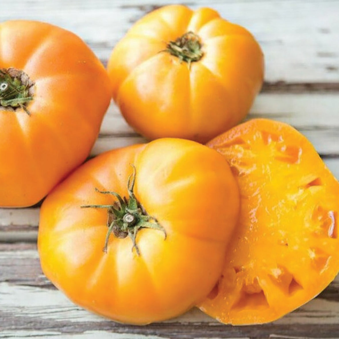 Goldie Tomato Homestead goldie-tomato-homestead