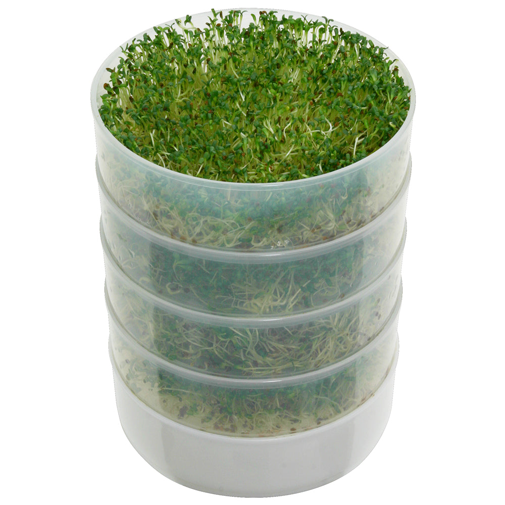 Kitchen Crop 4-Tray Sprouter