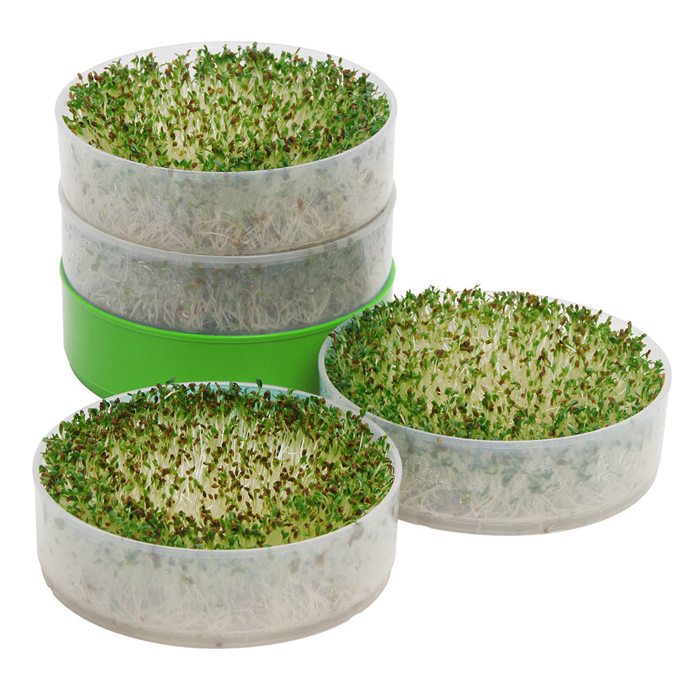 Deluxe Kitchen Crop Sprouter with Alfalfa & Broccoli Seeds Included