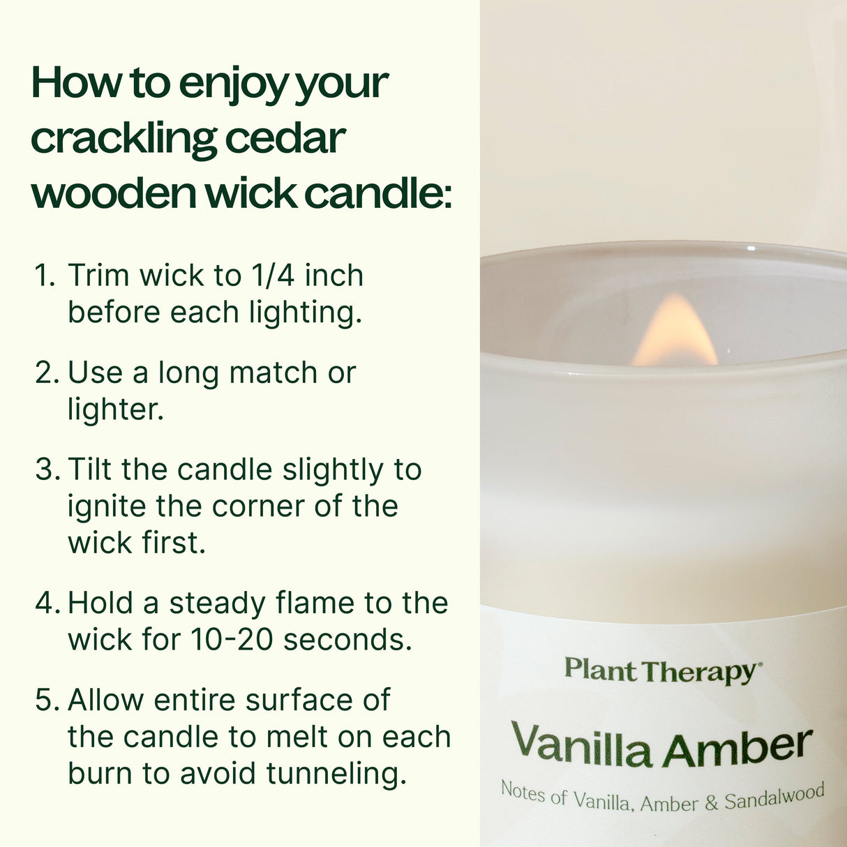 Vanilla Amber Naturally Scented Candle