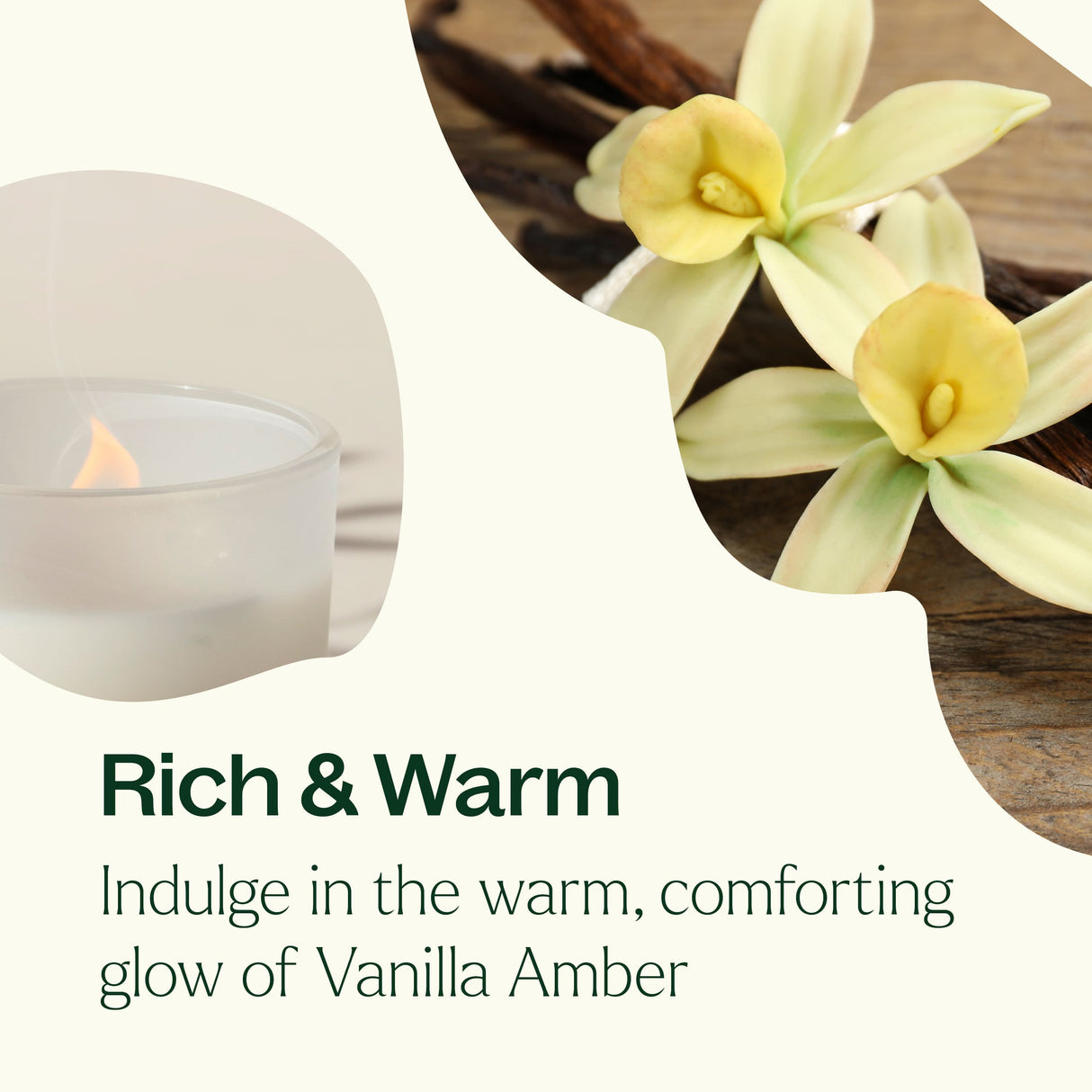 Vanilla Amber Naturally Scented Candle