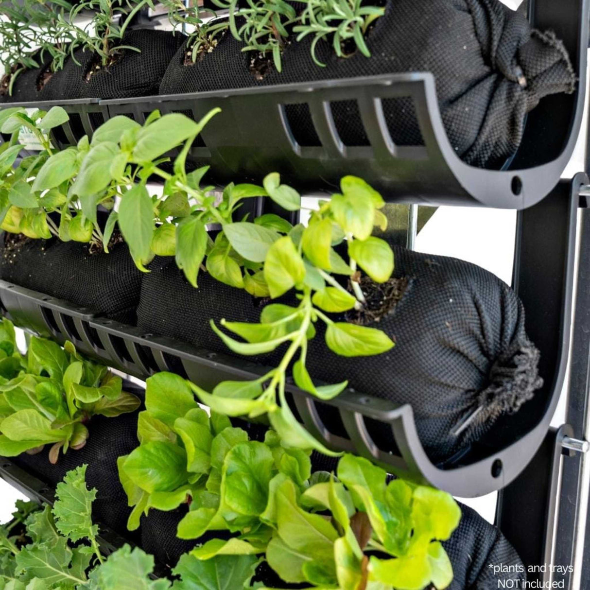 Varden™ Empty Mesh