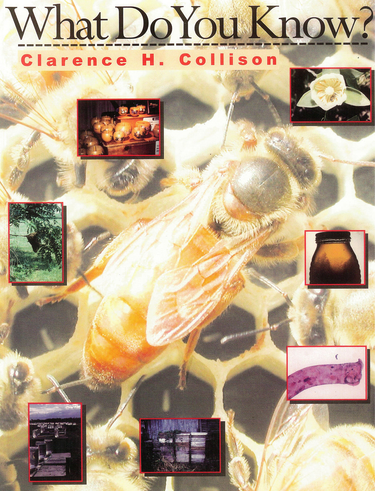 What Do You Know? Book