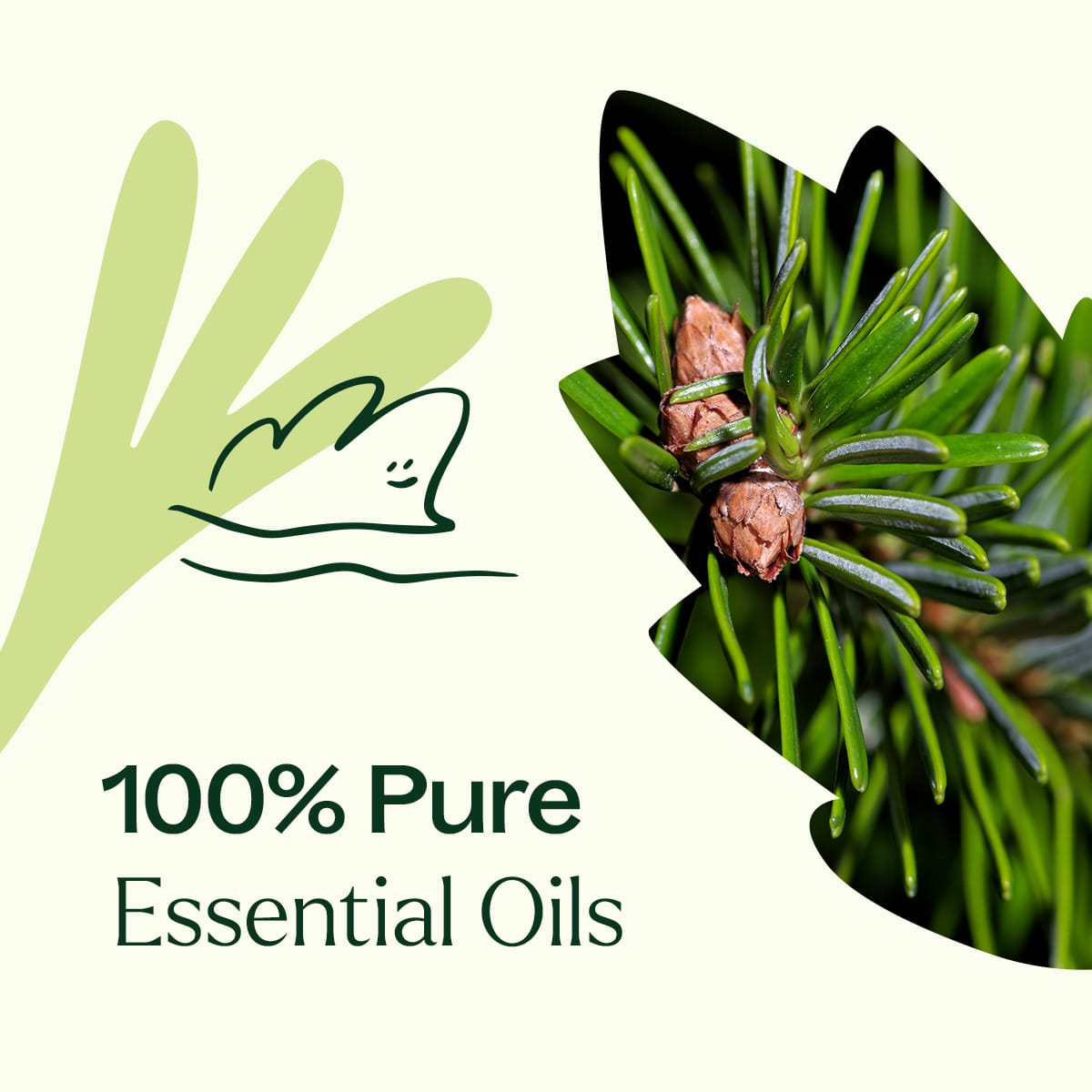 Woodland Retreat™ Essential Oil Blend