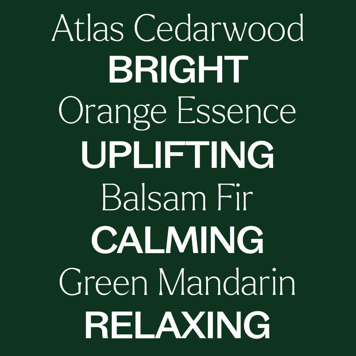 Woodland Retreat™ Essential Oil Blend