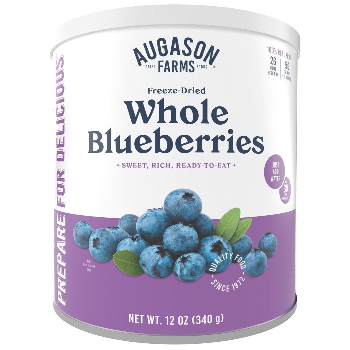 Freeze Dried Whole Blueberries Can, 26 Servings