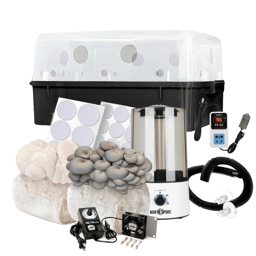 Beginner Automated 'Boomr Bin' + Fruiting Blocks Monotub Mushroom Grow Kit