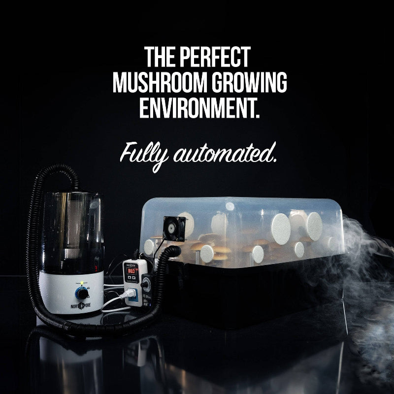 Automated 'Boomr Bin' + CVG Monotub Mushroom Grow Kit