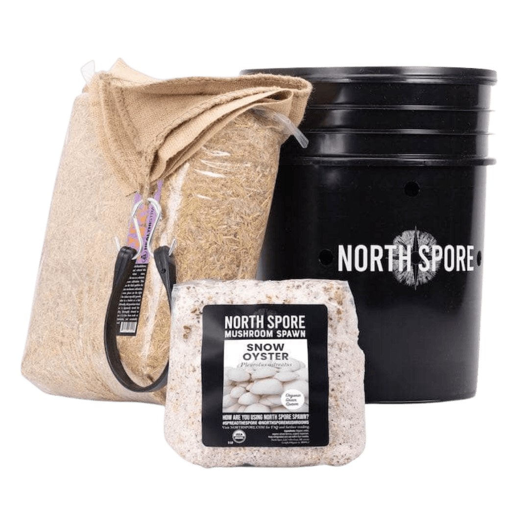 'MushBucket' Mushroom Bucket Grow Kit