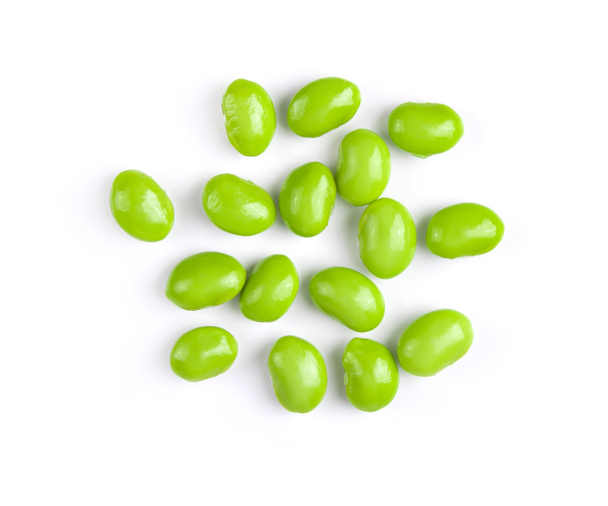 20 Organic MIDORI GIANT SOYBEAN Edamame Glycine Max Green Bean Legume Vegetable Seeds