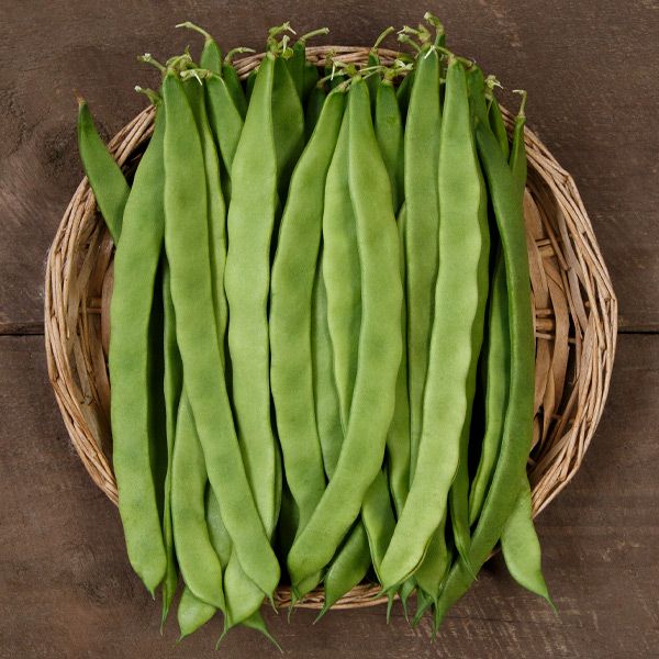 Northeaster Pole Bean