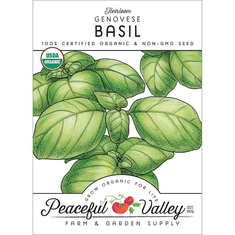 Organic Basil, Genovese (pack)