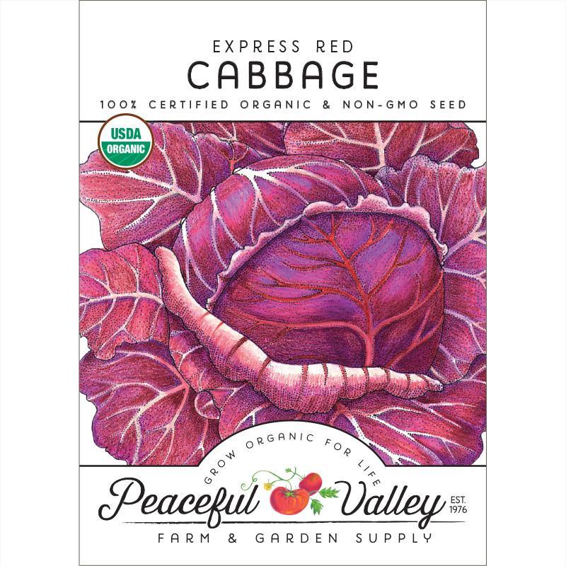 Express Red Cabbage