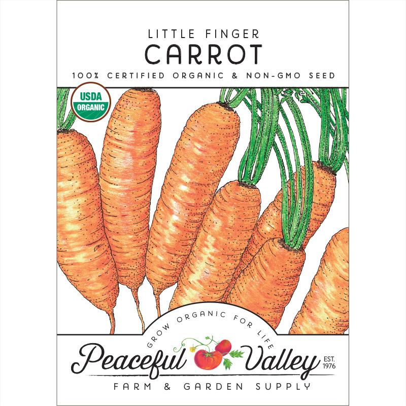 Little Finger Carrot
