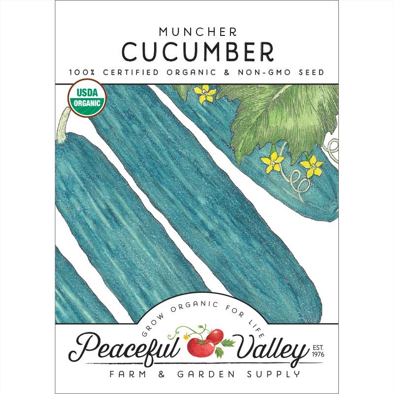 Muncher Cucumber Seeds (Organic)