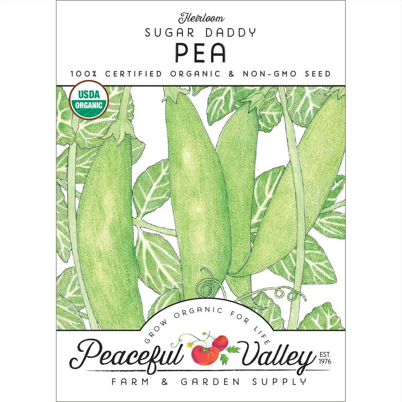 Sugar Daddy Pea