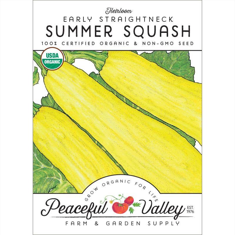 Early Straightneck Summer Squash