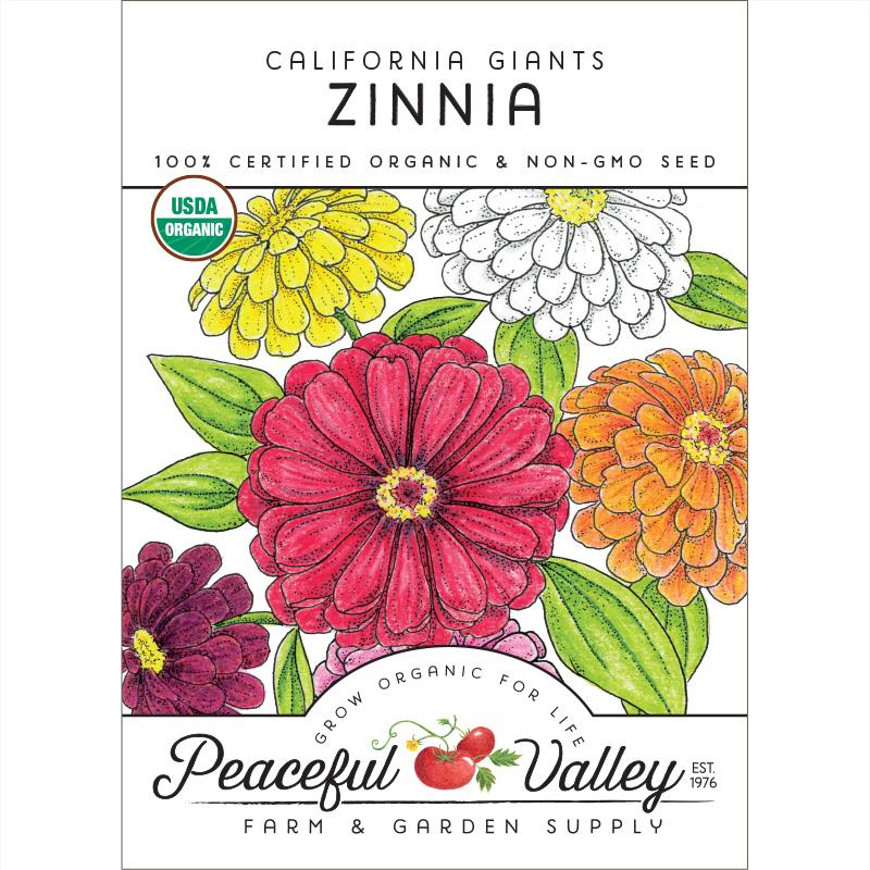 Organic Zinnia, California Giants (pack)
