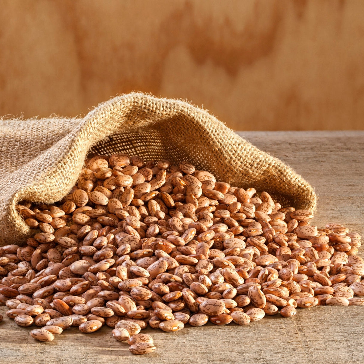 Dried Pinto Beans 4 Gallon Pail, 311 Servings