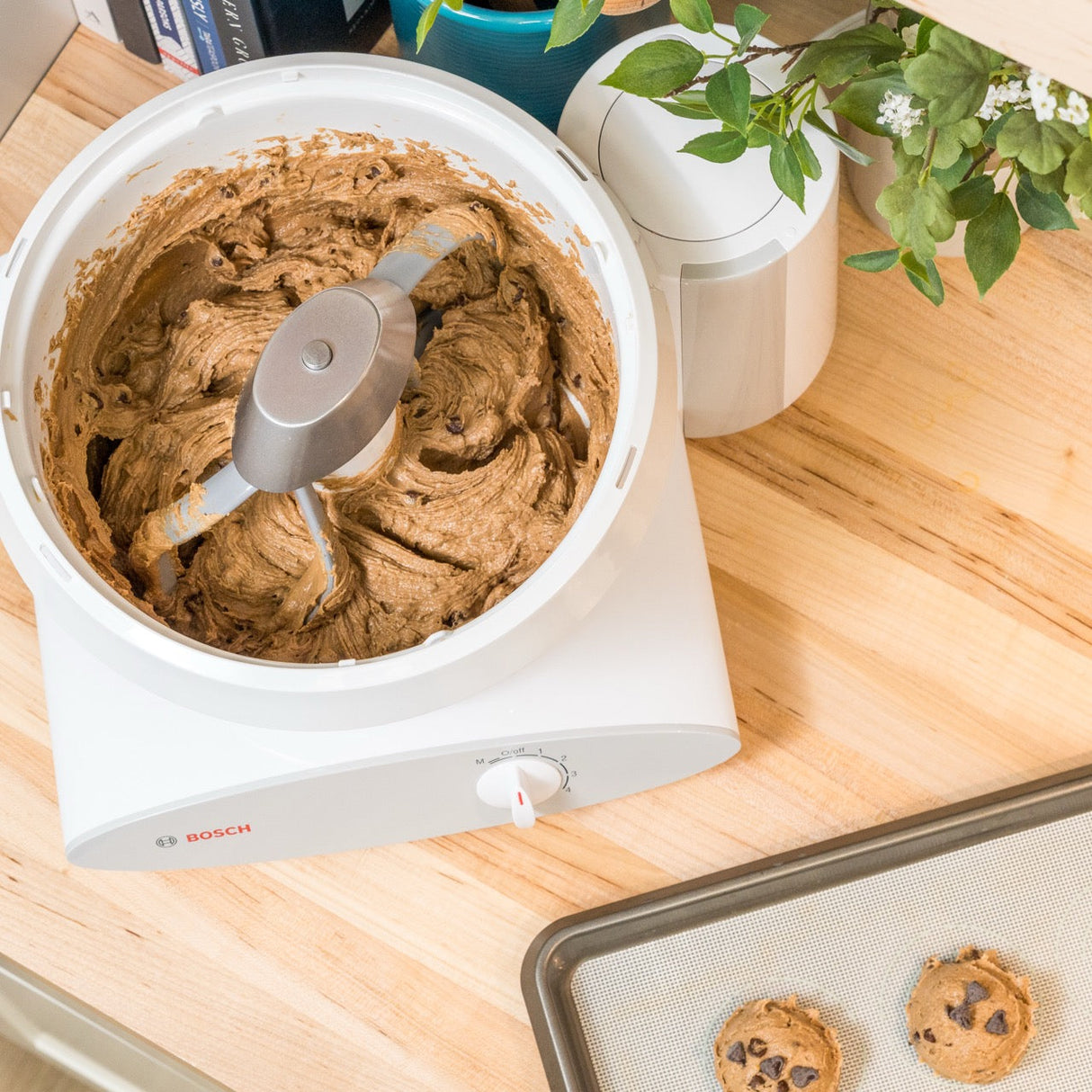 Cookie Paddles