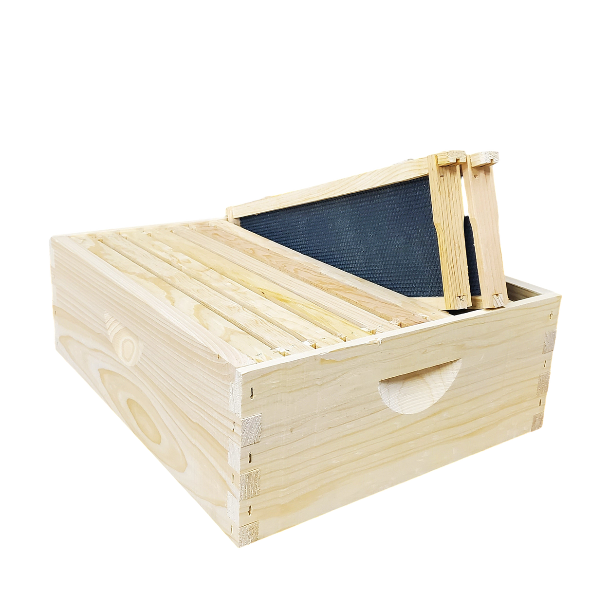 10-Frame Complete, Medium 6 5/8-inch Box with Frames and Foundation