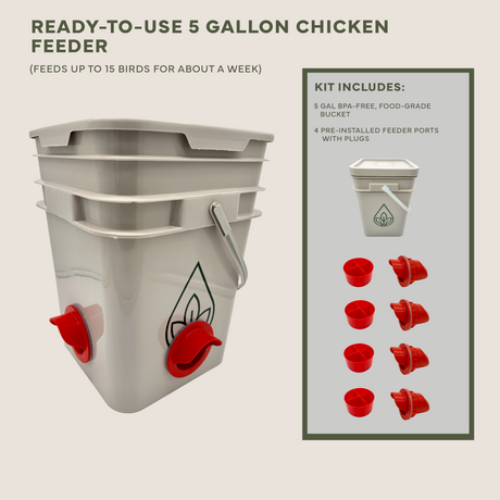 Easy Chicken Feeder and Automatic Chicken Waterer Kits β Chicken Chores Just Got 20X Easier