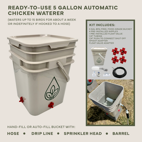 Easy Chicken Feeder and Automatic Chicken Waterer Kits β Chicken Chores Just Got 20X Easier