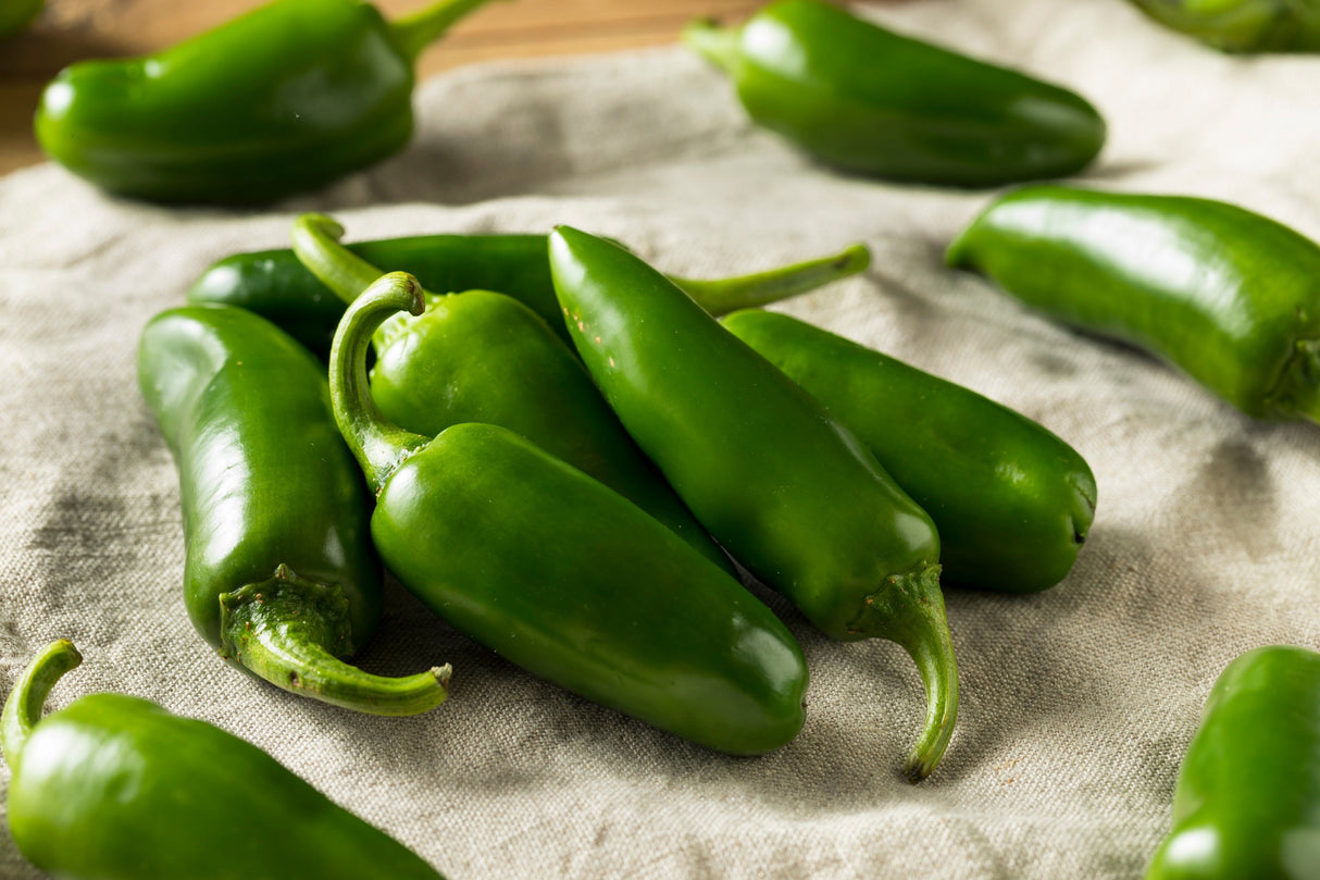 400 HOT JALAPENO PEPPER Capsicum Annuum Mexican Chili Vegetable Seeds