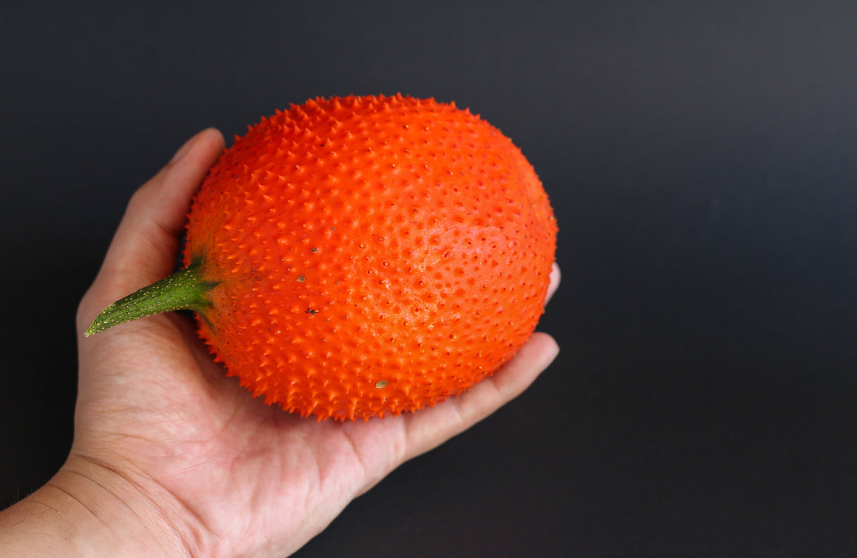 2 GAC FRUIT Gac Melon Vine Momordica Cochinchinensis Seeds