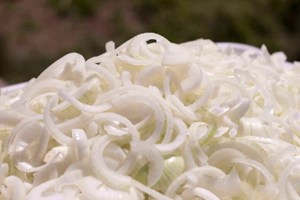 250 ECLIPSE ONION White Sweet Allium Cepa Vegetable Seeds